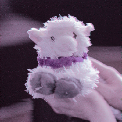 Rosa 🐑