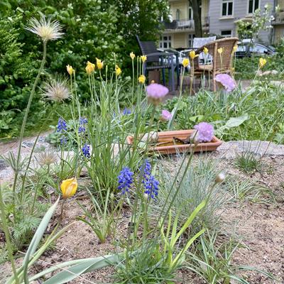 Stephanusgarten