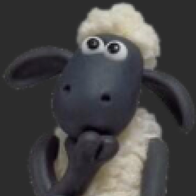 sheep