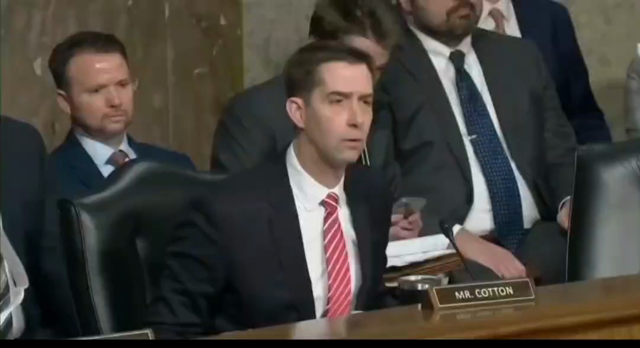 A video of Senator Tom Cotton in front of the U.S. Senate questioning the CEO of TikTok