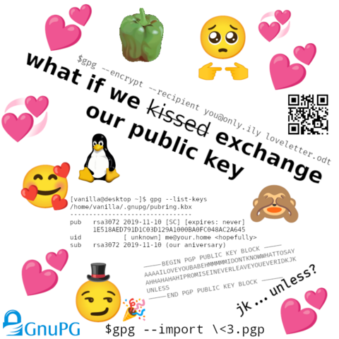 A valentine's day card edited only using free and open source software saying “what if we kissed exchanged our public key”

The page shows many cute emojis, hearts, the GIMP paprika, and a gpg public key import log text.