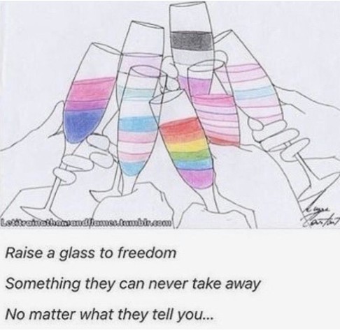 A drawn picture of many hands holding champagne bottles with the many pride flags as liquids inside. Below written is the text “raise a glass to freedom, something they can never take away, no matter what they tell you!” a quote from the musical Hamilton (2015).