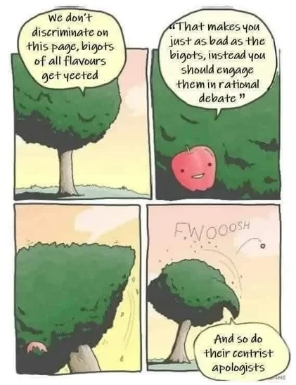 A four panel comic showing a tree talking to an apple. The tree states “we don't discriminate on this page, bigots of all flavors get yeeted”, the apple responds “That makes you just as bad as the bigots, instead you should engage them in rational debate”. The tree as a response yeets the apple as far away as possible and says “and so do their centrist apologists”