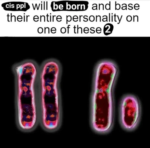 A meme with text saying “cis people will be born and base their entire personality on one of these two” below you can see of the X and Y chromosome