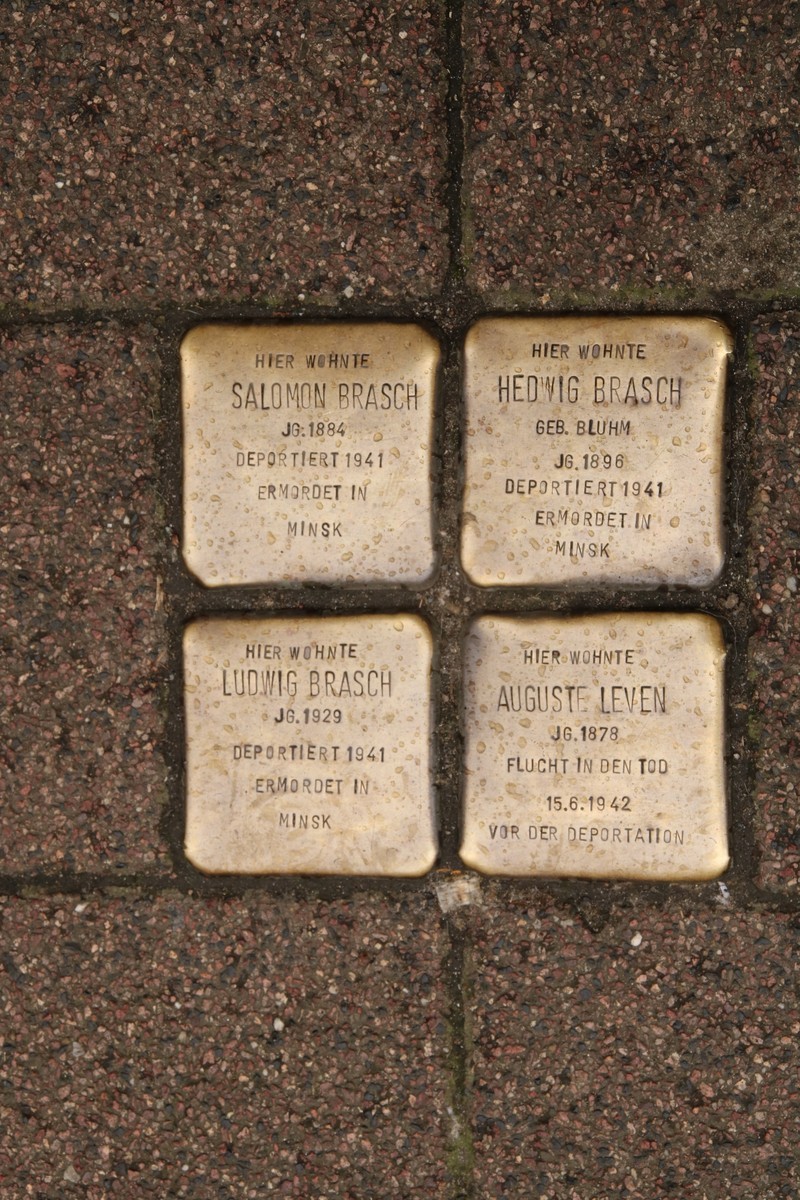 Foto im Hochformat. Zwischen Pflastersteinen liegen vier quadratische Stolpersteine für die genannten Personen, wiederum im Quadrat angeordnet:

Oben links: Salomon Brasch, Jahrgang 1884, deportiert 1941, ermordet in Minsk;

Oben rechts: Hedwig Brasch, geb. Bluhm, Jahrgang 1896, deportiert 1941, ermordet in Minsk;

Unten links: Ludwig Brasch, Jahrgang 1929, deportiert 1941, ermordet in Minsk;

Unten rechts: Auguste Leven, Jahrgang 1878, Flucht in den Tod 15.06.1942 vor der Deportation.