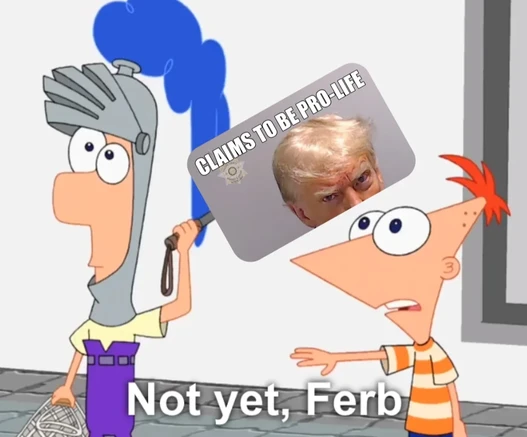 A picture of Phineas saying “Not yet, Ferb” whilst Ferb is wielding a picture with Trump's mugshot reading “Claims to be pro life” and the bottom part cut off.

The joke is that the sentence goes as follows “claims to be pro life, but is dead” which is always posted when conservatives (who are often pro life) die.

For a short period of time in the past days people believed Trump to be dead. The hope of that being real was enough to let the smallest points of coincidental evidence (higher pizza…