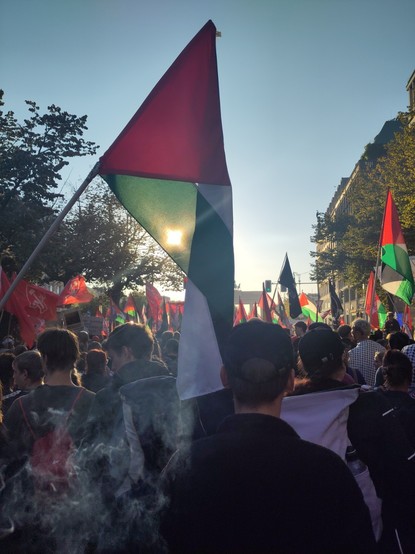 A picture of thousands of palestine and red flags in front of the Brandenburg gate on a sunny day by Erik Uden