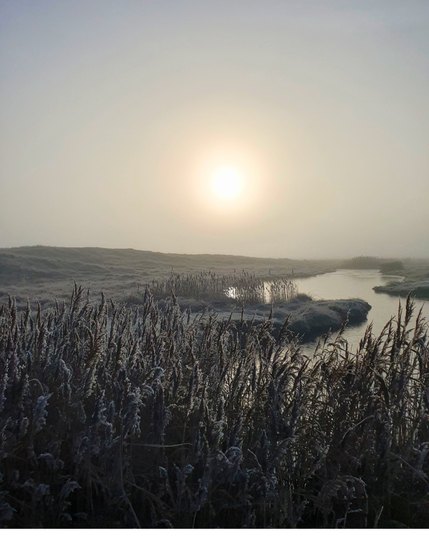 A beautiful landscape of Norderney showing the sun pinch through the fog with a wiggly river on the right side. The picture is taken through high grass.
