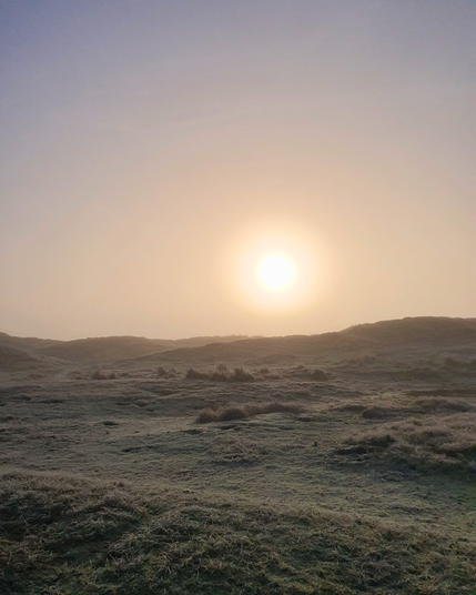 A beautiful landscape of Norderney showing a burning sun behind the fog and tiny dunes with bushes on top of them as far as the eye can see.