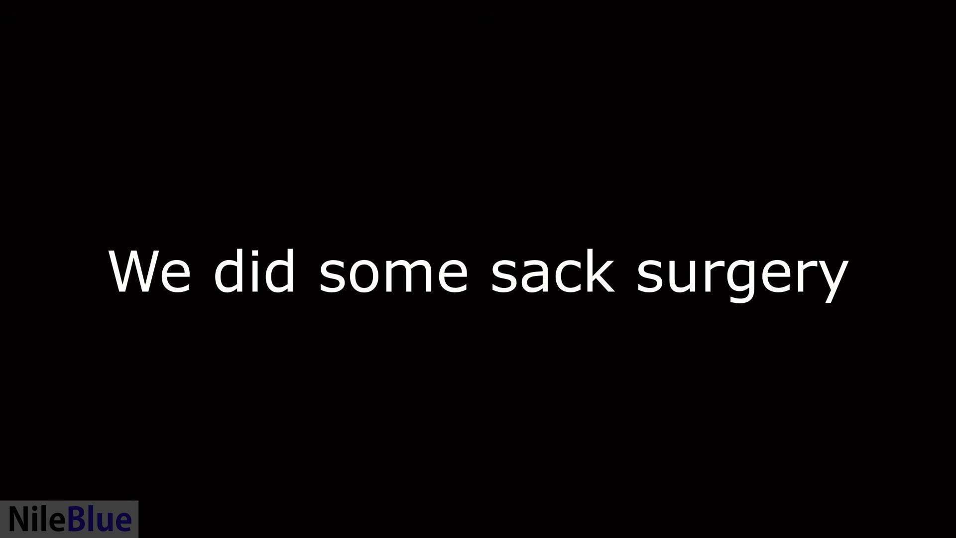 A frame from a NileBlue video. It says,

"We did some sack surgery"