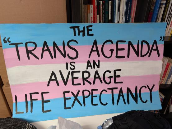 A picture of a protest sign saying “the 'trans agenda' is an average life expectancy”
