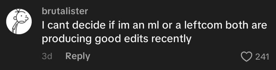 A screenshot of a TikTok comment reading “I can't decide if I'm a Marxist-Leninist or a Leftcom, both are producing good edits recently”